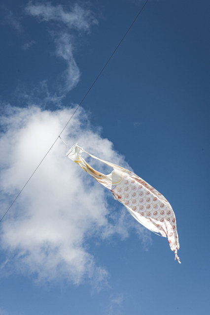 Koinobori