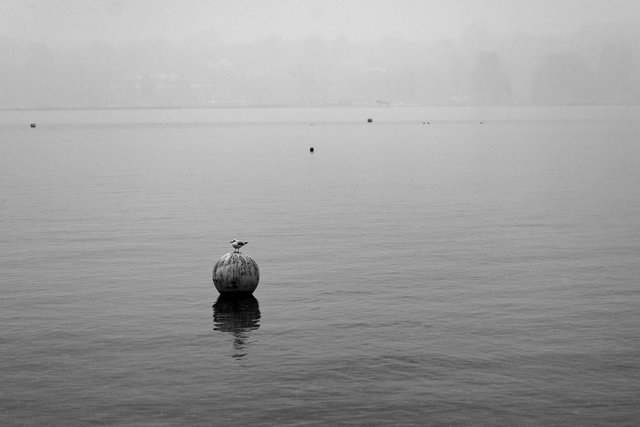 Lac Léman, Genève