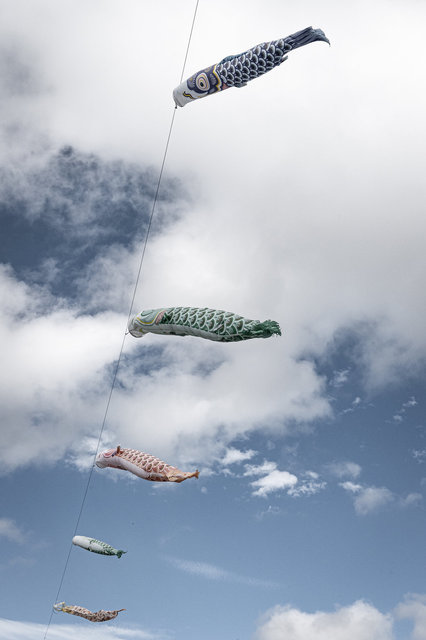 Koinobori