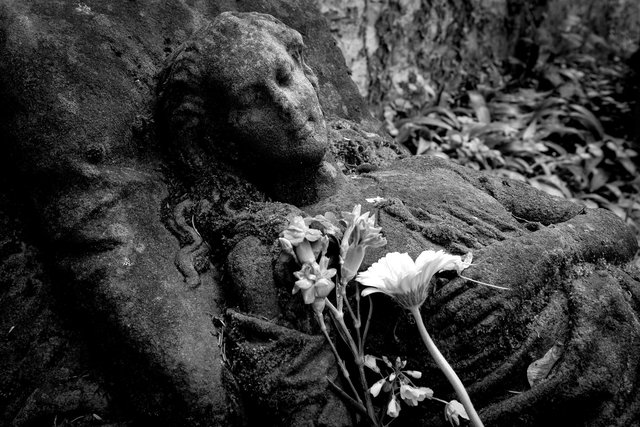 Caroline Christine Walter