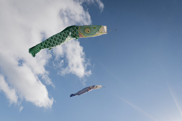 Koinobori