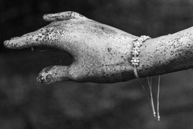 _0254095.jpg