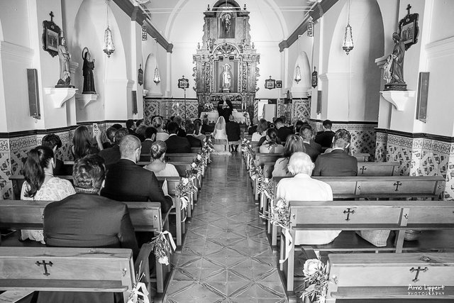 0025_20160414-0025_20150614-_A2A0741-3.jpg