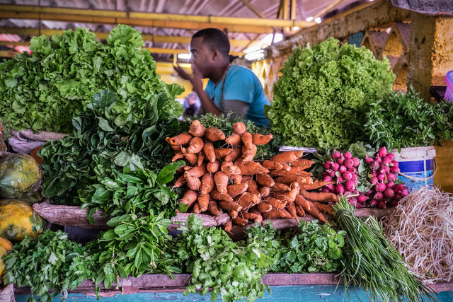 Havana farmers' market