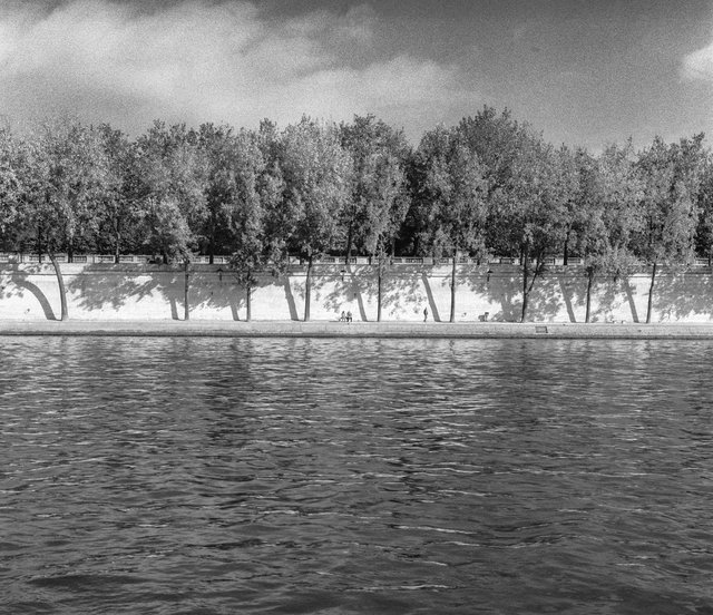 Seine trees & water.jpg