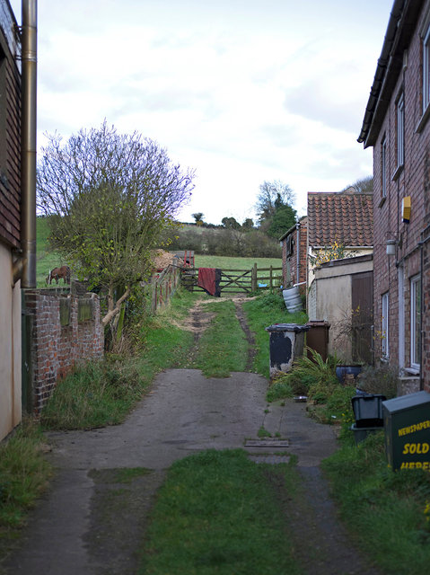 Alleyway, 2017