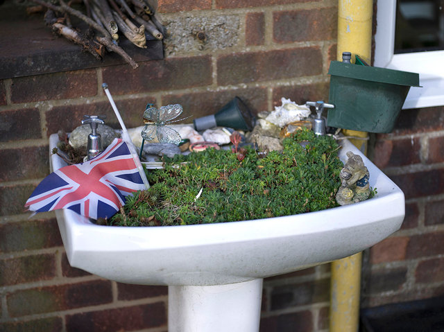 Garden Sink, 2017