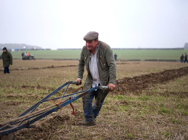 Ploughman 2, 2017