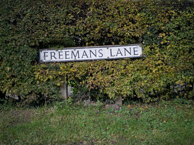 Freemans Lane, 2017