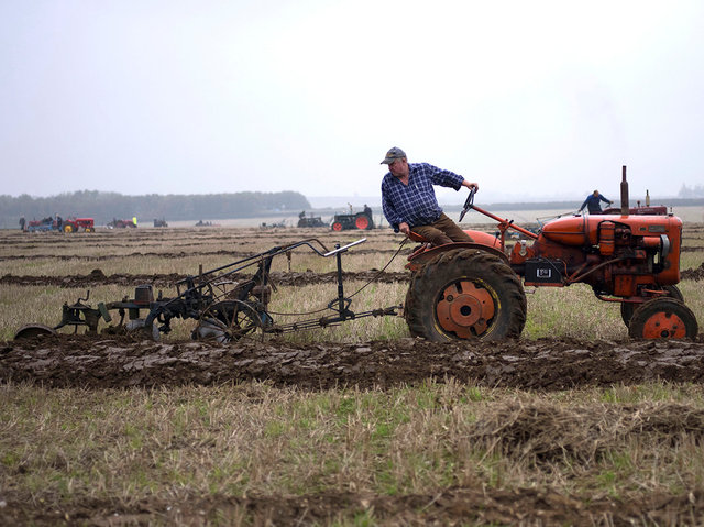 Ploughing, 2017