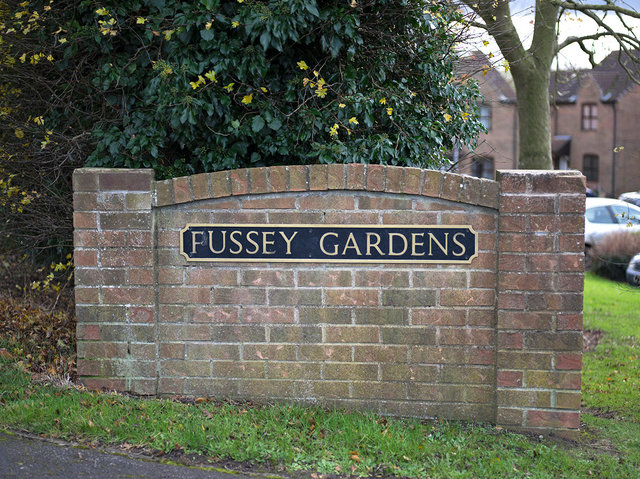 Fussey Gardens, 2017