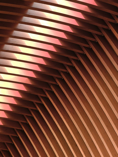 19GFX20572.jpg