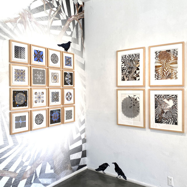 Ghost Bird Installation