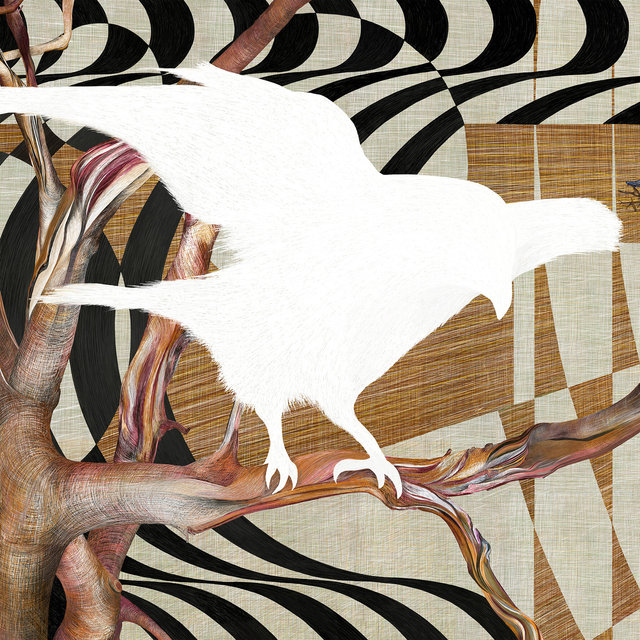 Ghost Bird 3 drawing detail