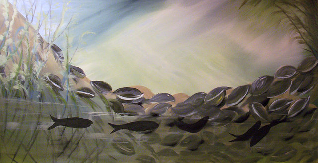 oyster_bed.JPG
