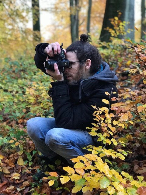 fall