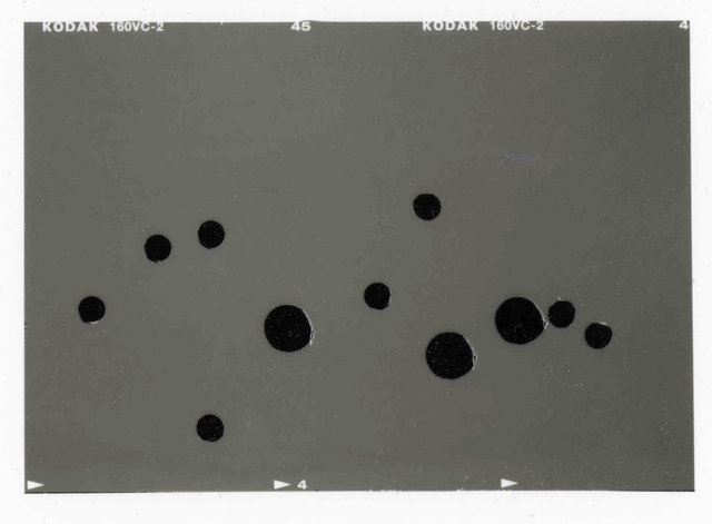 0009_InSearchOfPerfectRhythm(Bacchanal) copy.jpg