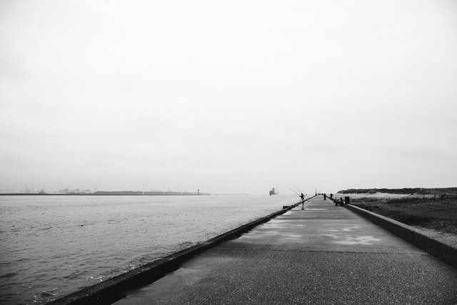 Rotterdam-2015-MH-07.jpg