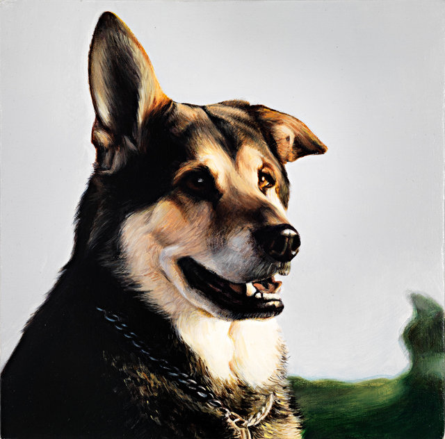 Breed: Shepherd / "Hey Dog"