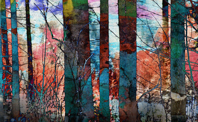 Zmierzch, druga strona świtu, vigrafia, 112x78