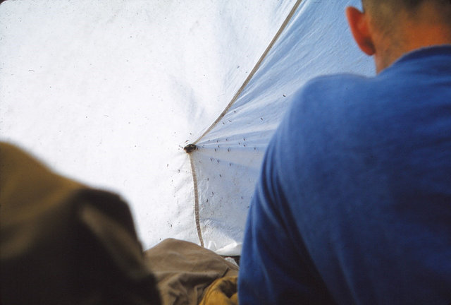 973 (9) Tent met muggen I