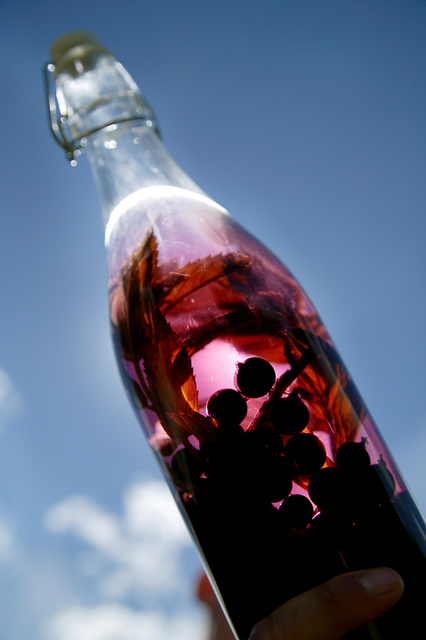 Tina Nordstrøm i Dalarna