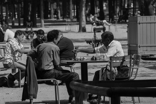 échecs