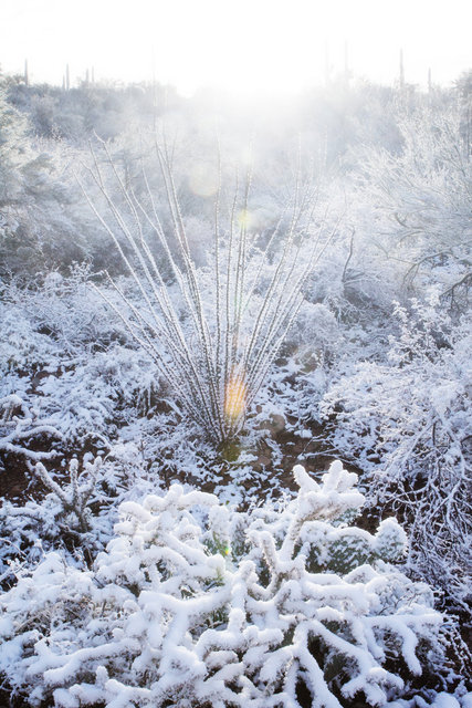 Snowy Gates Pass II