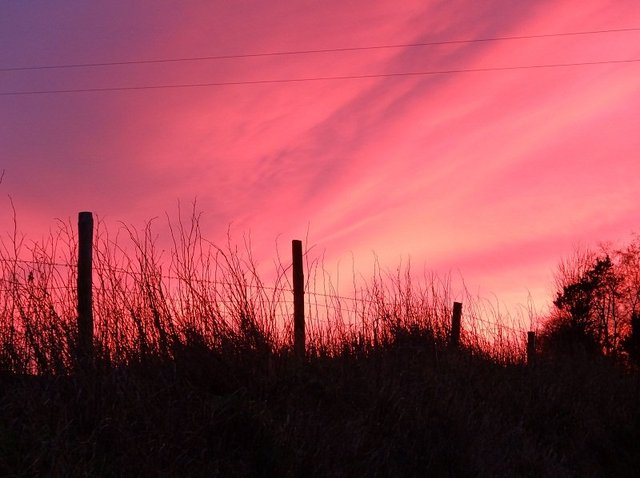 Sky at Night Shepherds Delight by Alison Gracie