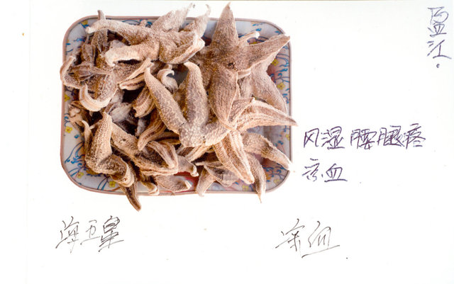 海五星 (with informations written by the traditonal pharmacist