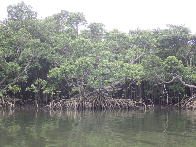 IMGP1006.JPG