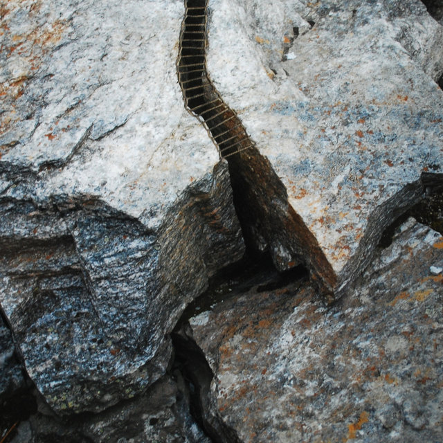 DSC_6570.jpg