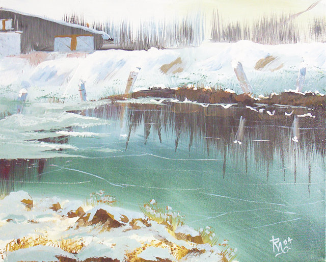 frozen_pond.JPG