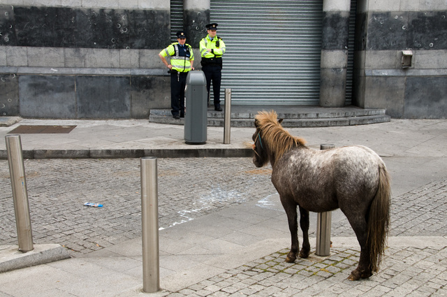 Horse Market, Smithfield