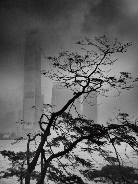 Hong Kong