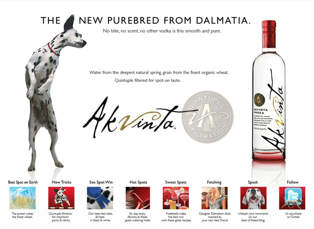 New Purebred from Dalmatia