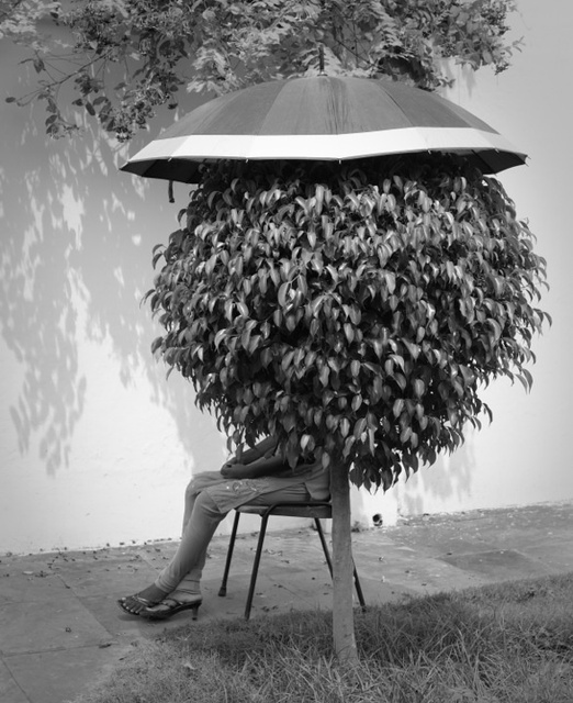 Wood_Michael_UmbrellaLady8x10.jpeg