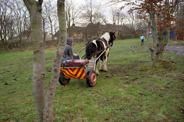 DSCF1125.jpg