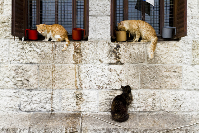 Jerusalem, Israel. 2010.