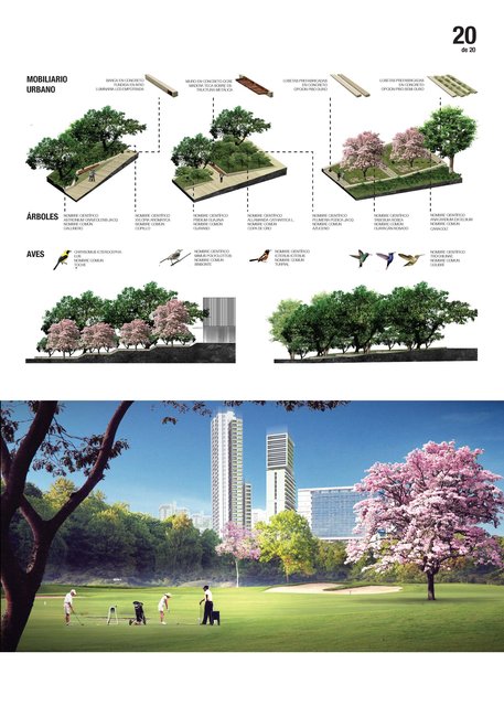 Planchas del concurso / Competition boards