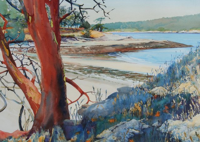Dionisio Point Arbutus & Coon bay (Sold)