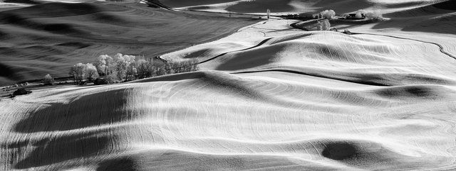 Palouse #2