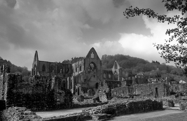 L’abbaye de Tintern,Monmouthshire,2002.