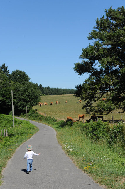 Mart op pad, Charente Frankrijk