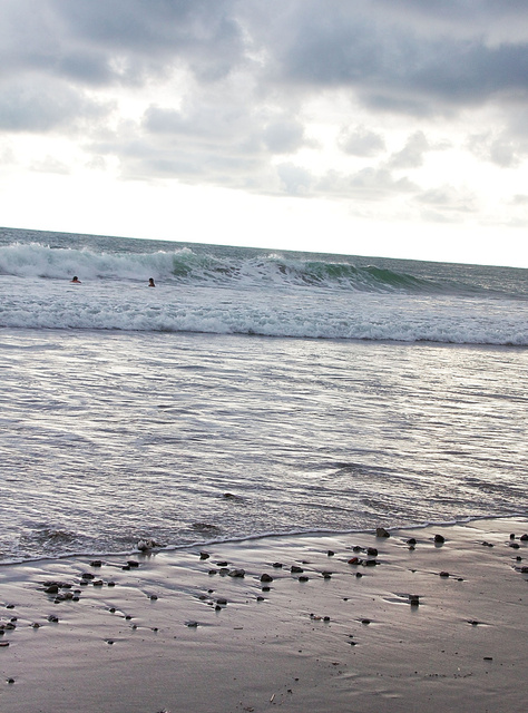 Manuel Antonio Beach