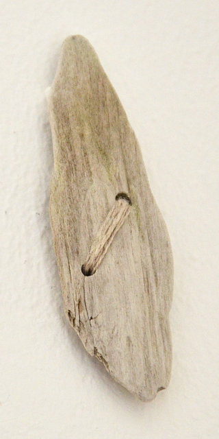 DSC_9580.jpg