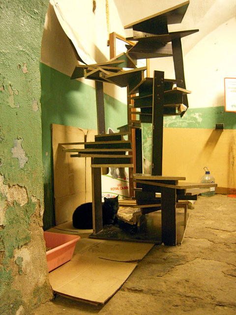 DSCN5961.JPG