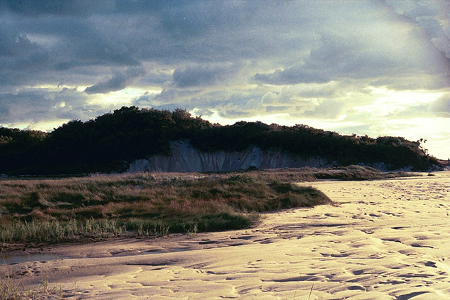 Dune.Comstock.jpg