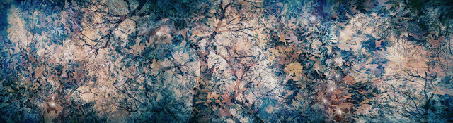 Legends Of The Fallen Muse. Arnold Arboretum, Boston