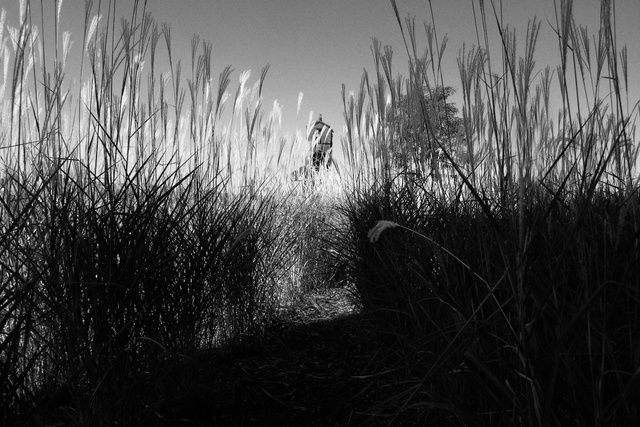 Abandoned Railroad Gantry